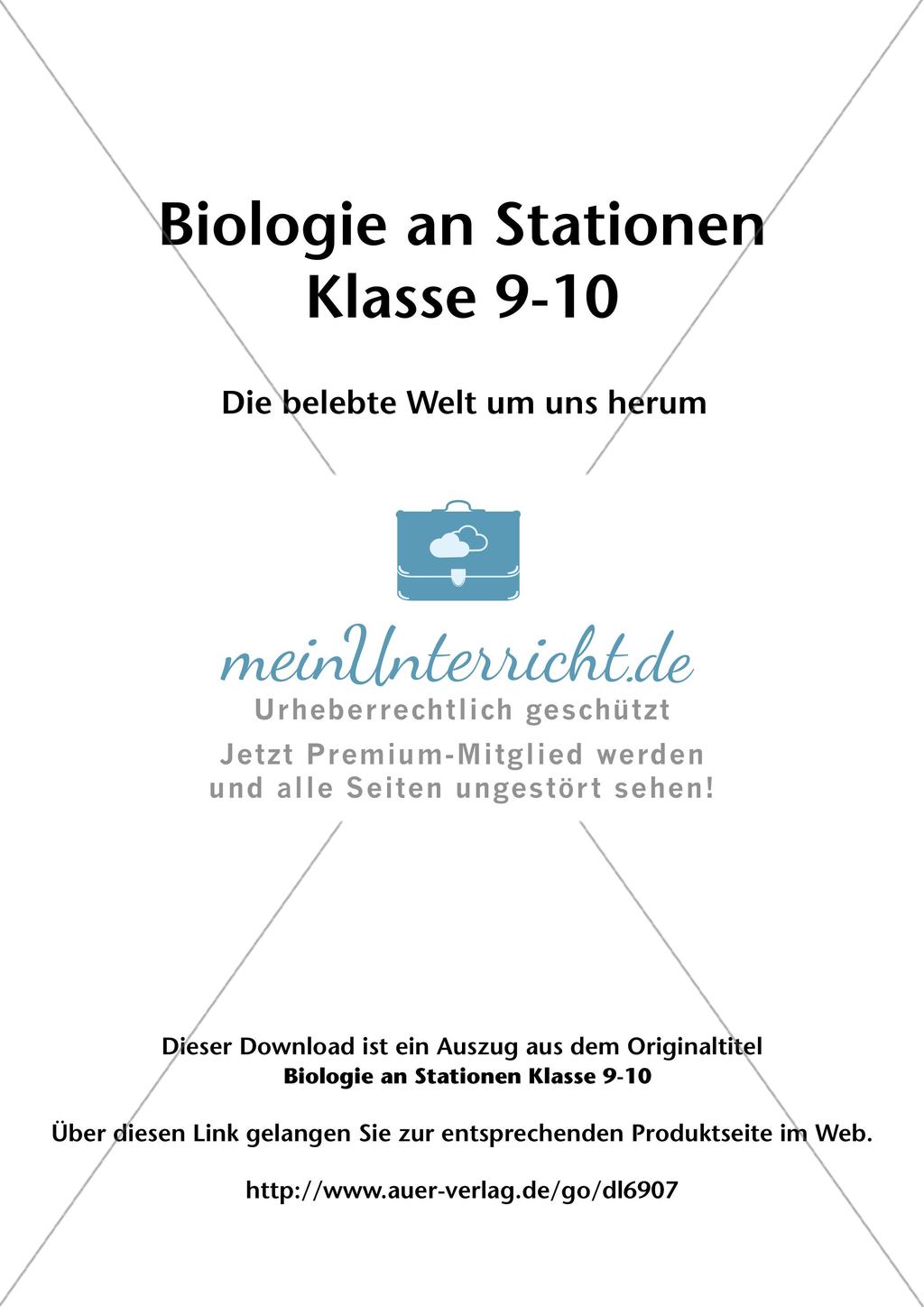Stationsarbeit zum Thema