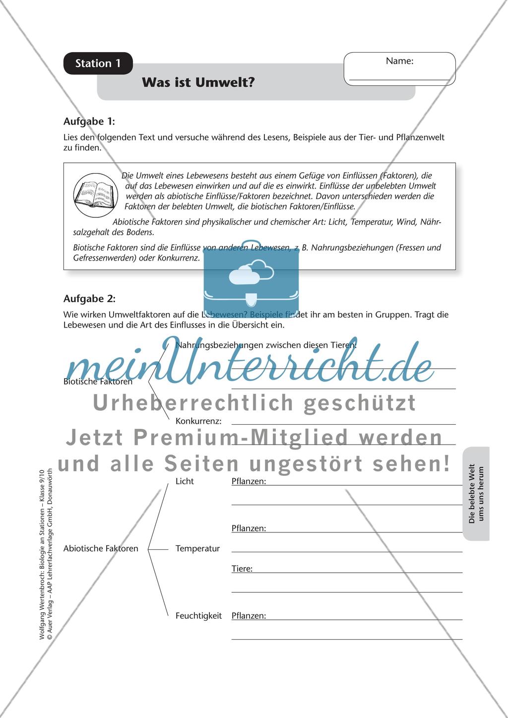 Stationsarbeit zum Thema