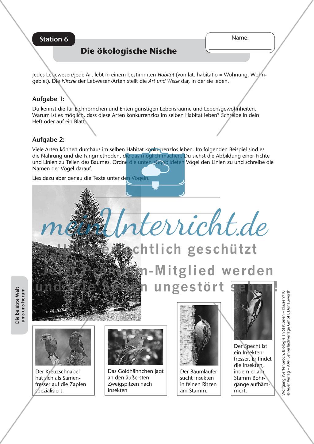 Stationsarbeit zum Thema