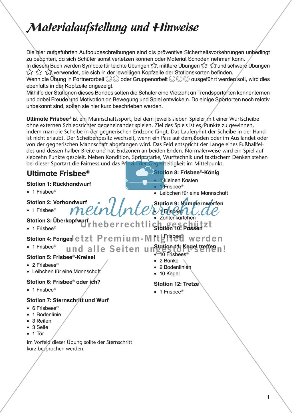 Sport an Stationen - Ultimate Frisbee Preview 3