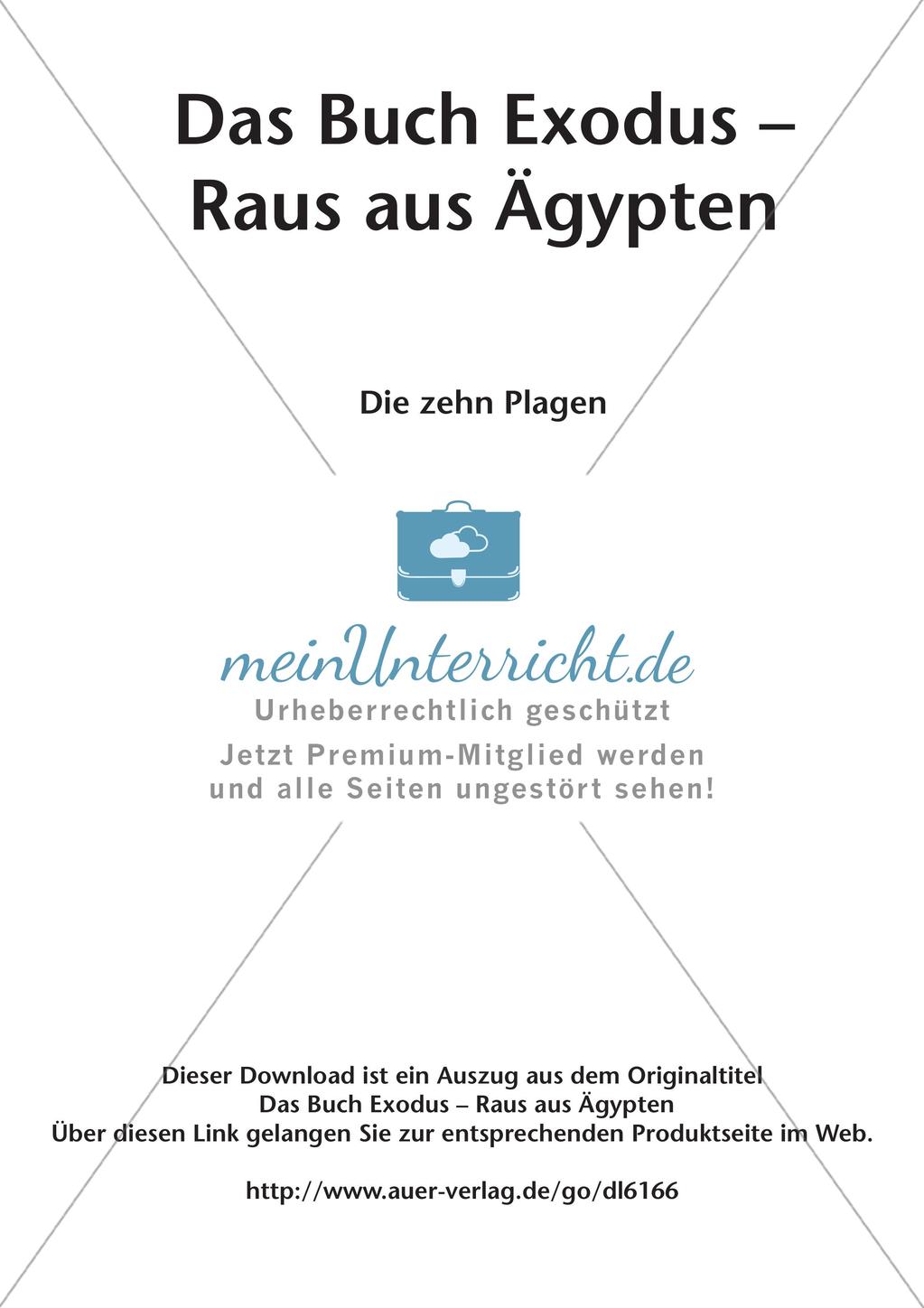 Das Buch Exodus - Die zehn Plagen Preview 2