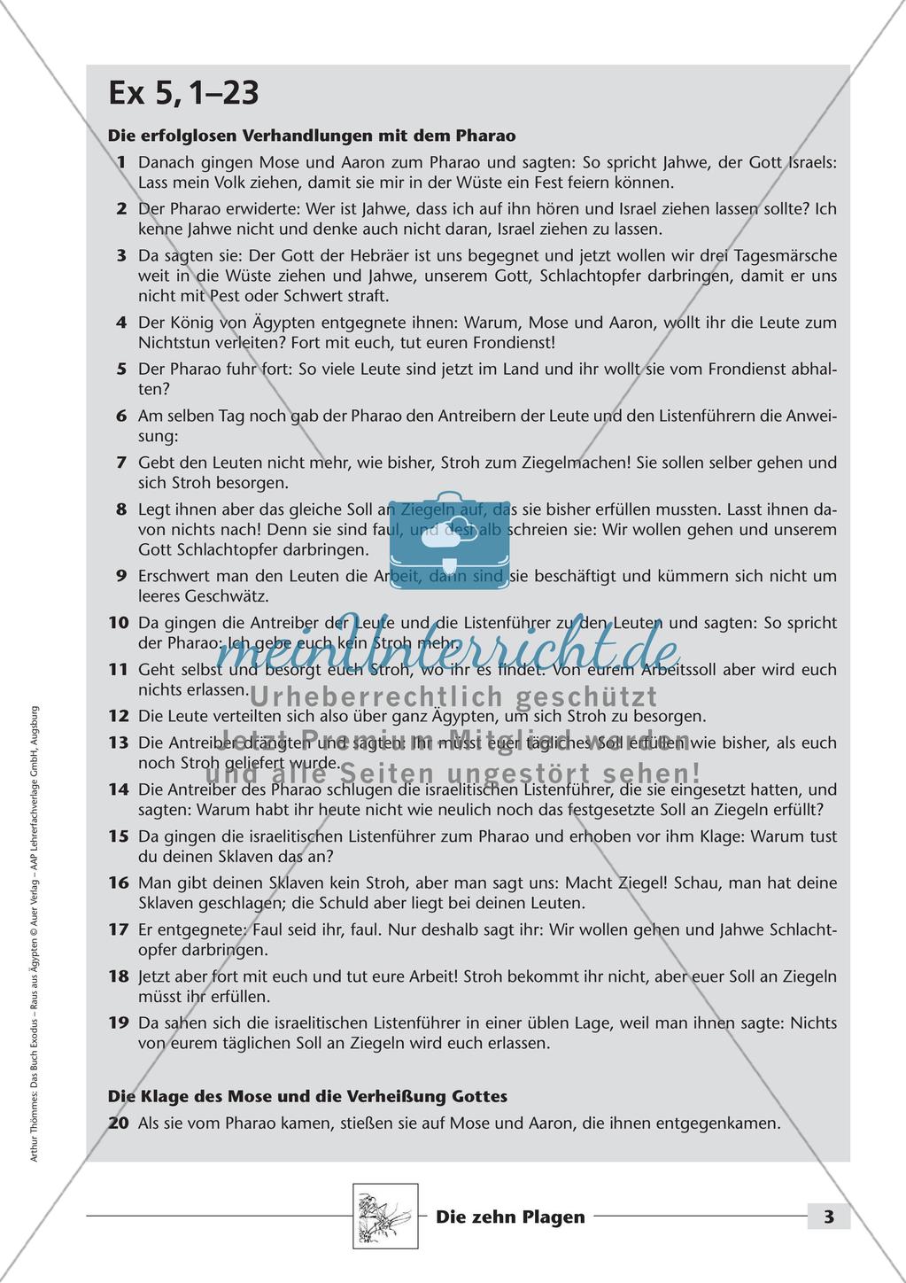 Das Buch Exodus - Die zehn Plagen Preview 5