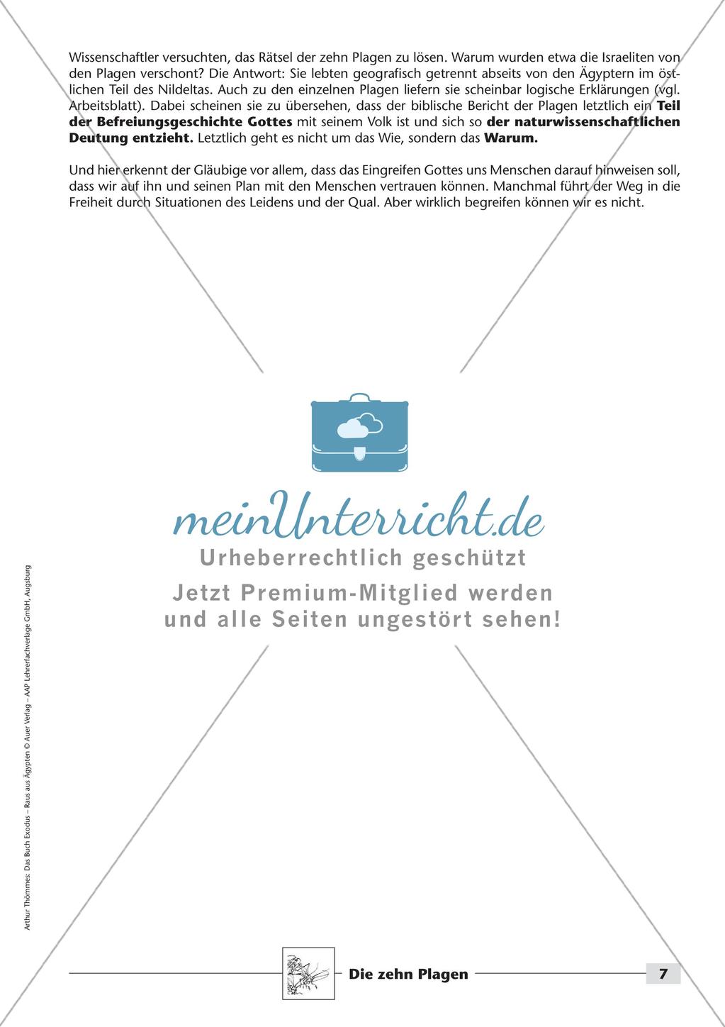 Das Buch Exodus - Die zehn Plagen Preview 9