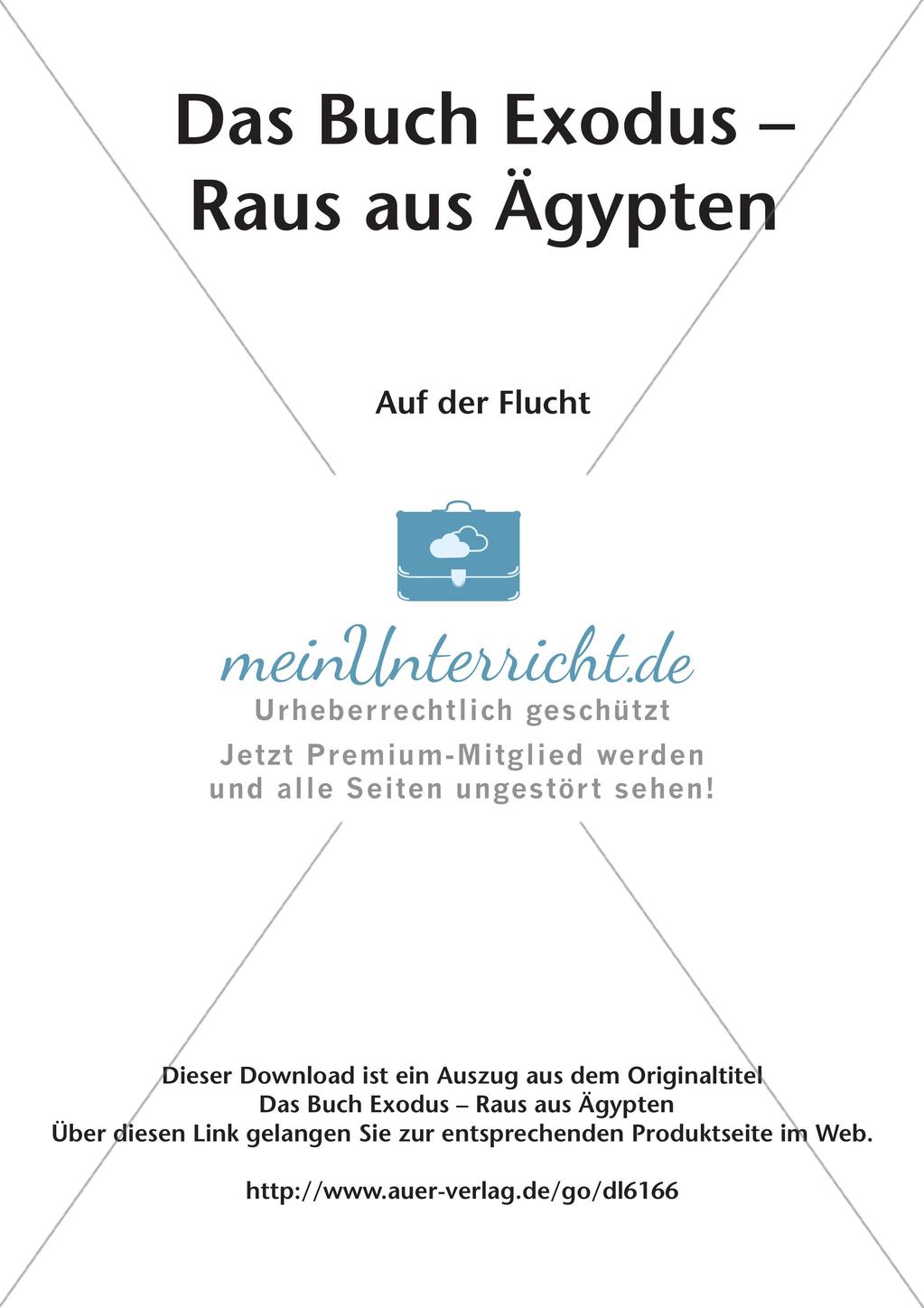 Das Buch Exodus - Auf der Flucht Preview 2