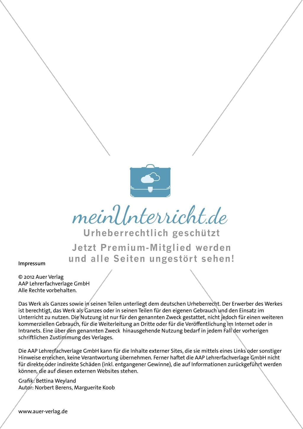 Begegnung mit Fremdheit Preview 13