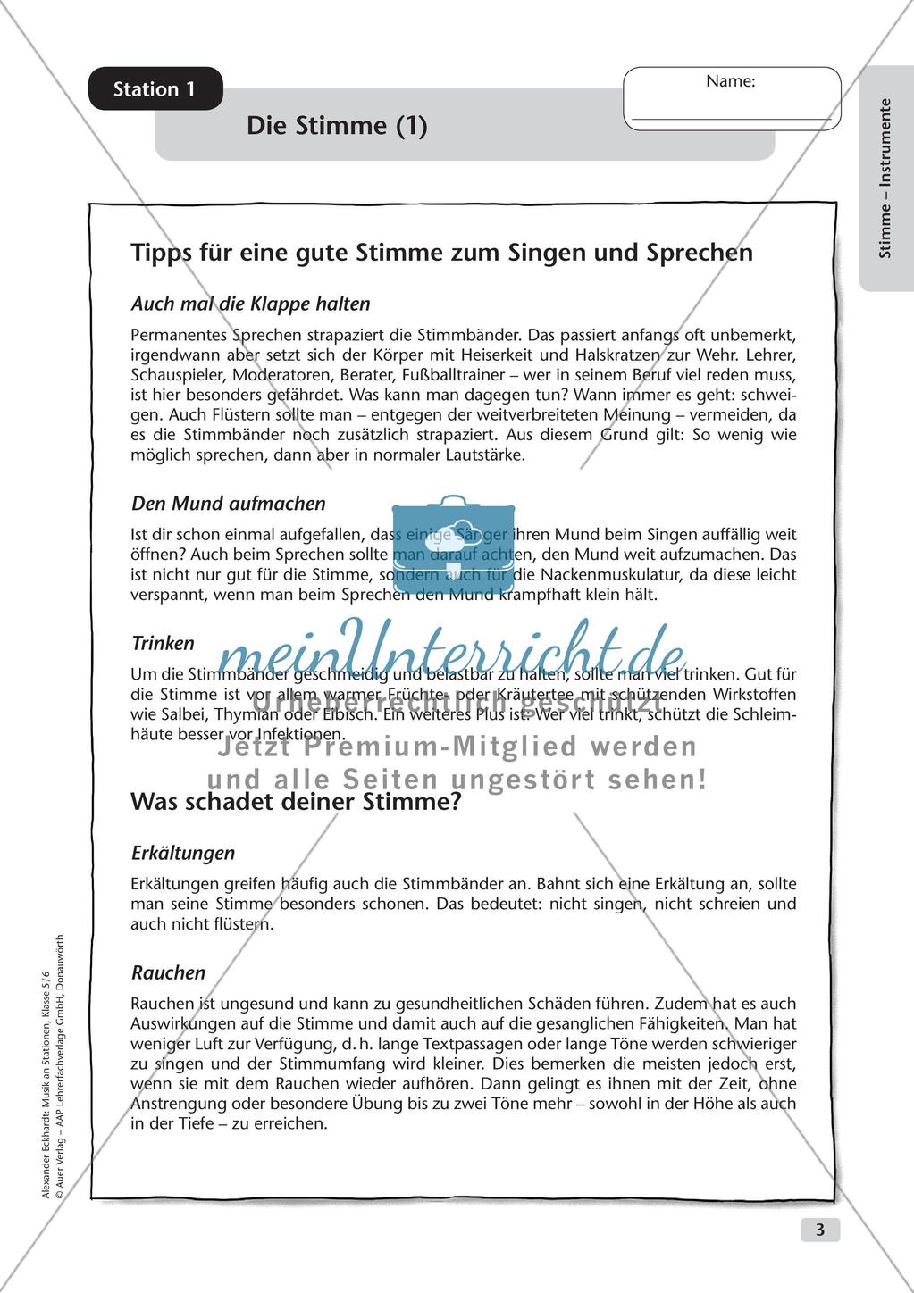 Musik an Stationen: Stimme und Instrumente Preview 5