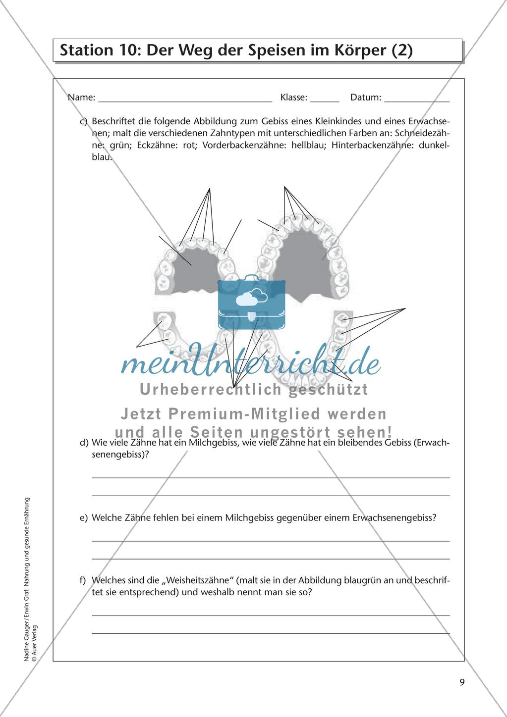 Gesunde Ernährung: Allgemeines zum Einstieg Preview 11