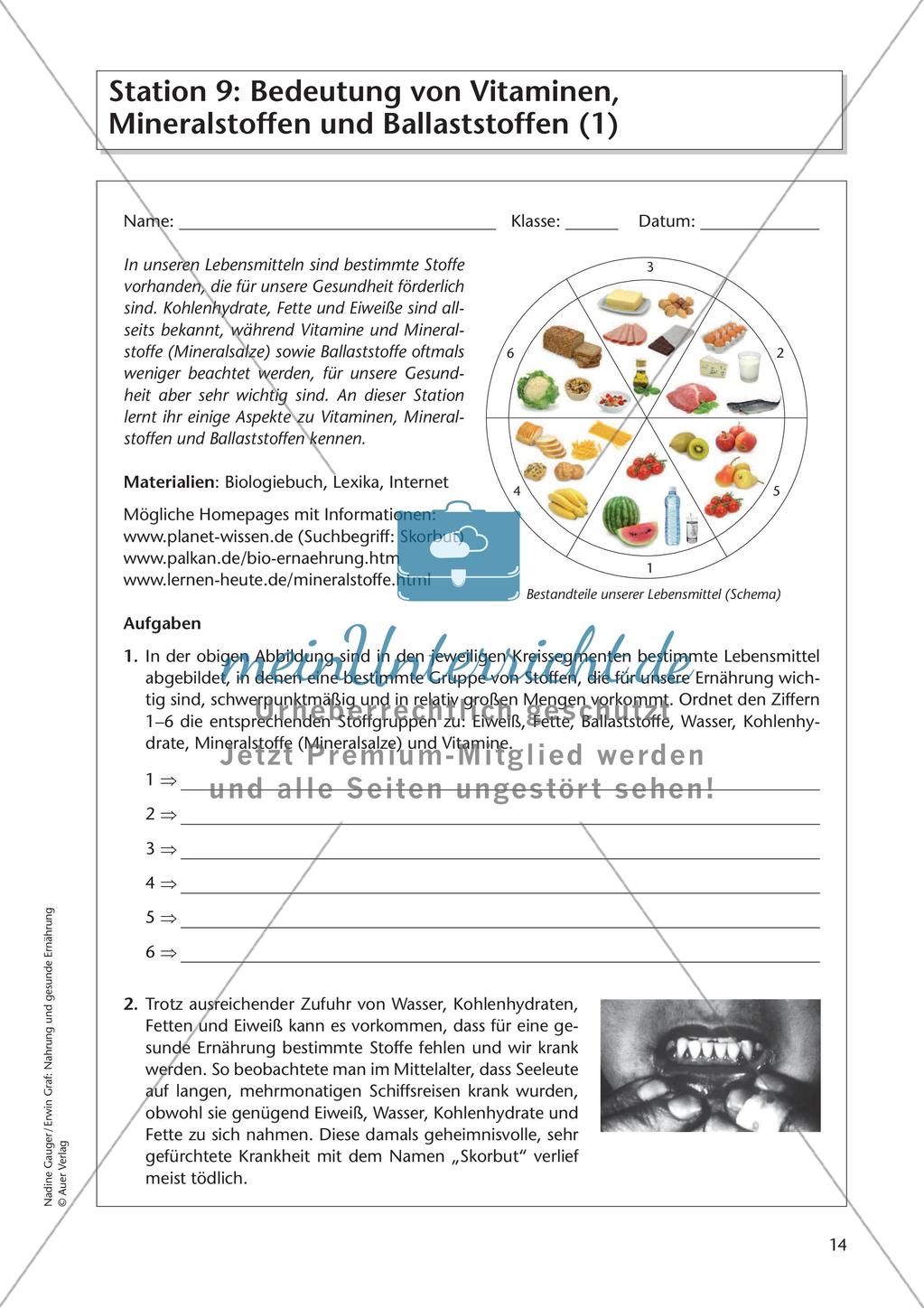 Gesunde Ernährung: Nahrungsbestandteile erforschen Preview 16