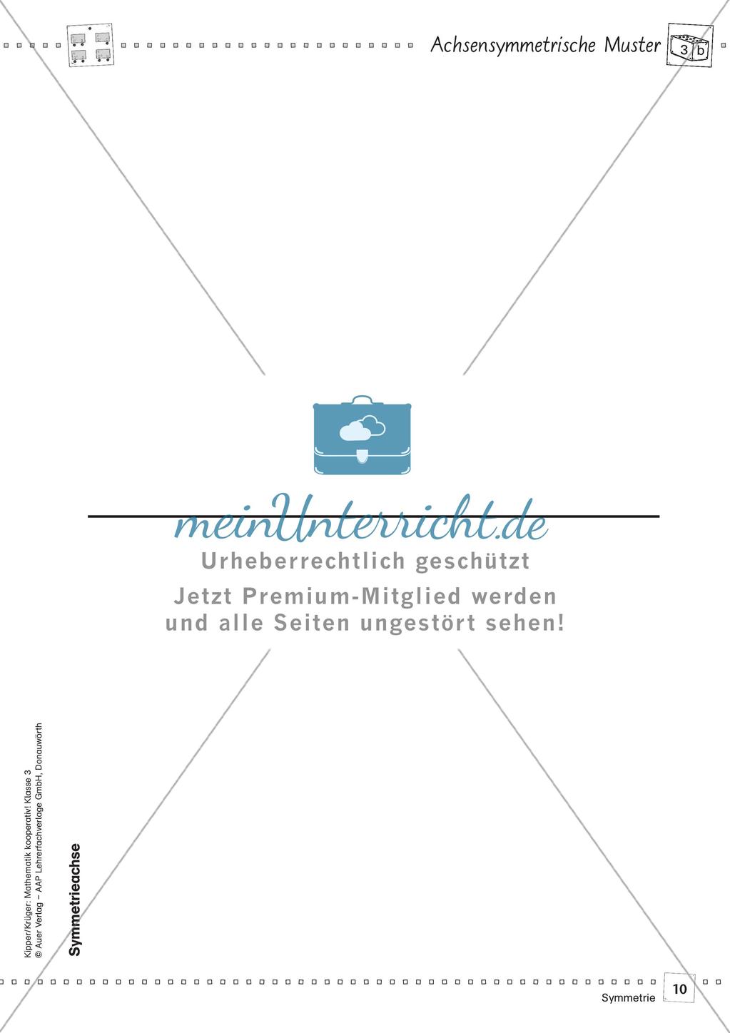 Mathematik kooperativ: Symmetrie Preview 12