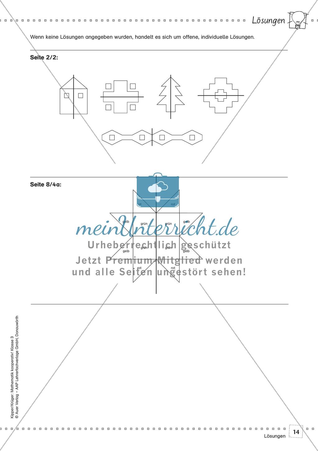 Mathematik kooperativ: Symmetrie Preview 16