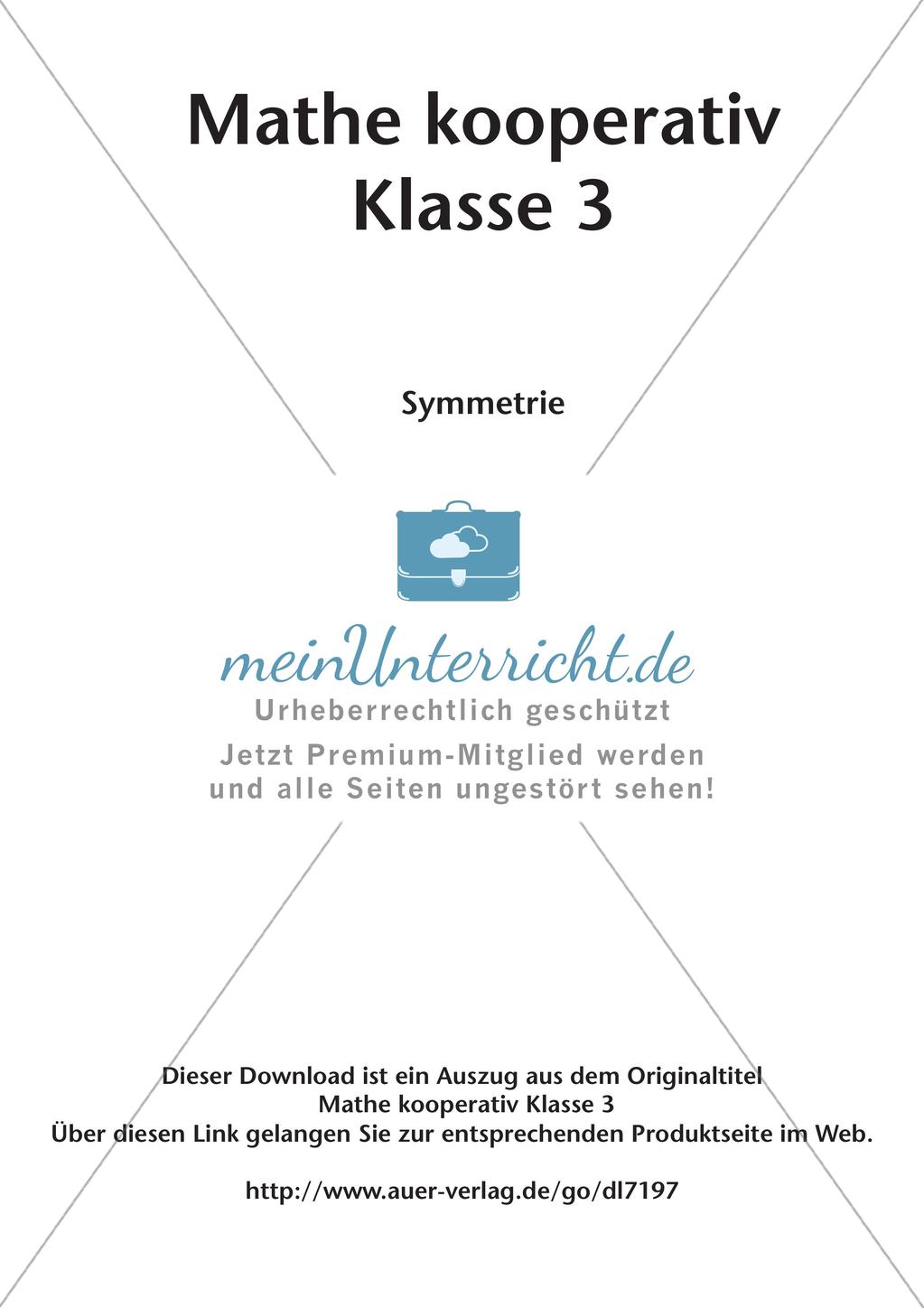 Mathematik kooperativ: Symmetrie Preview 2