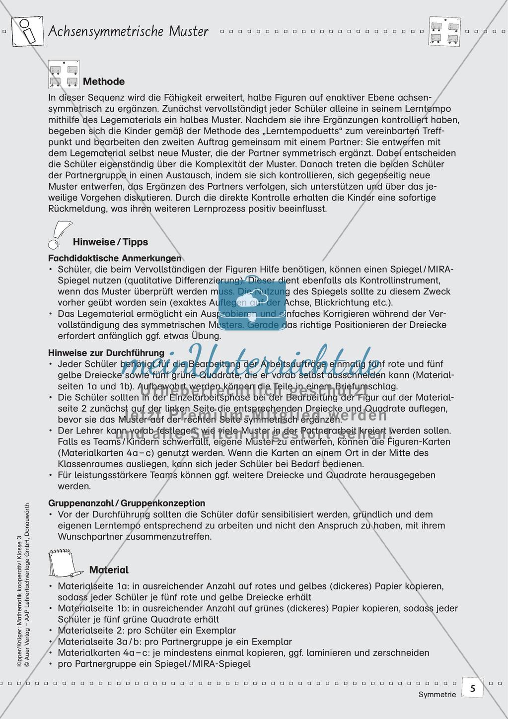 Mathematik kooperativ: Symmetrie Preview 7