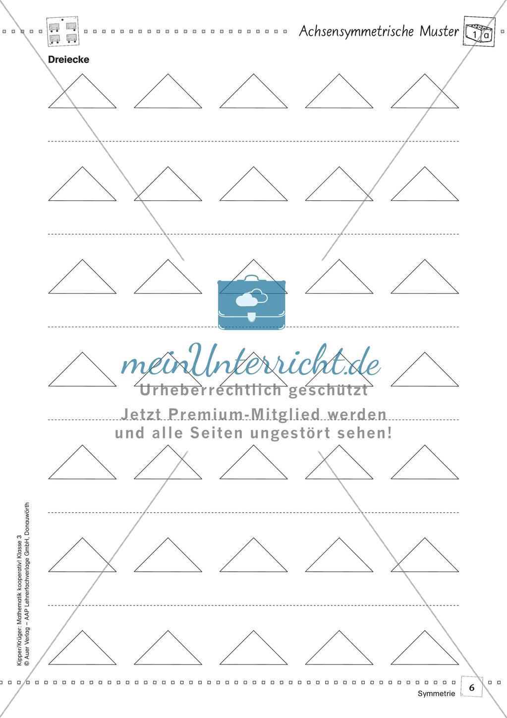 Mathematik kooperativ: Symmetrie Preview 8