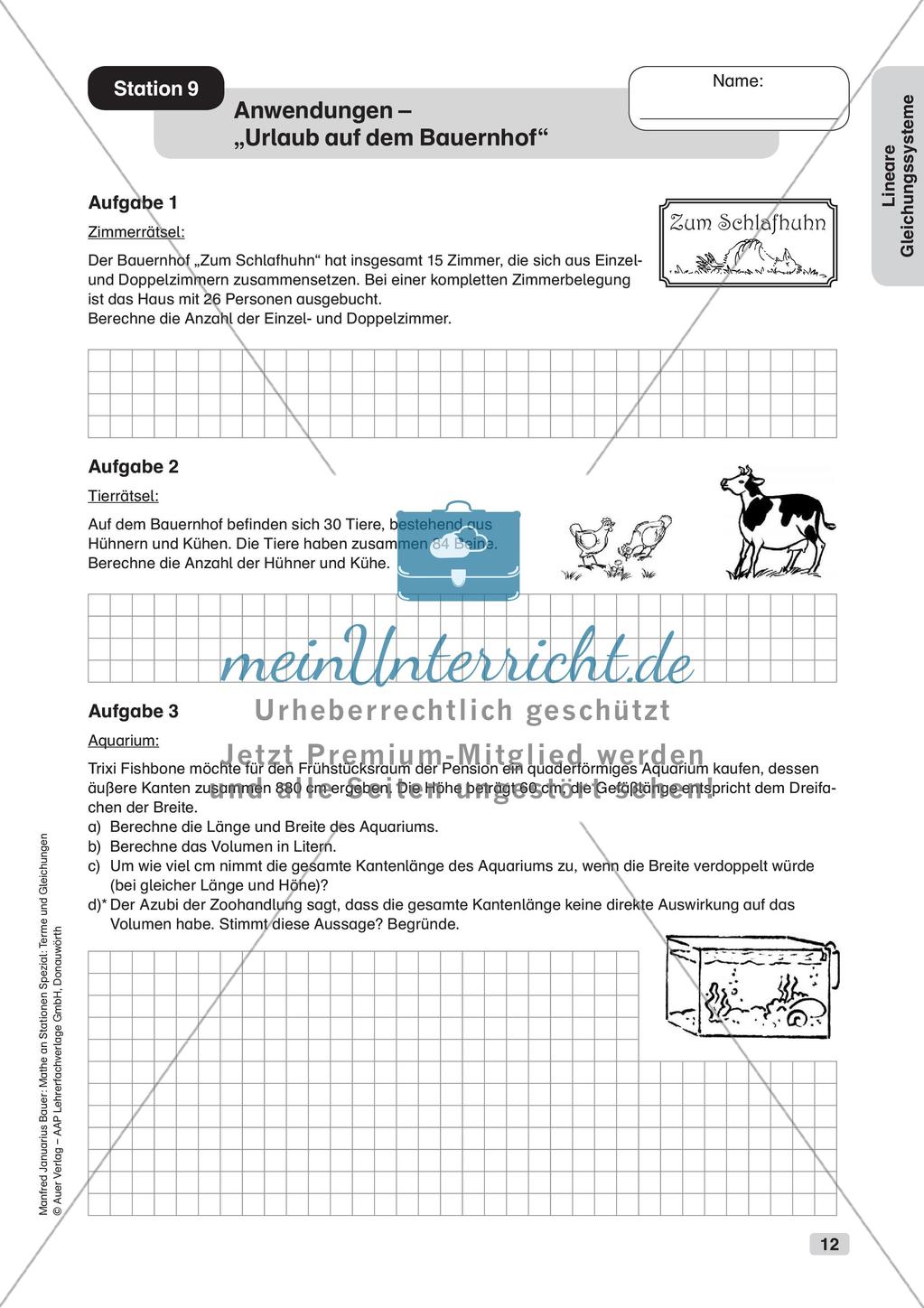 Mathe an Stationen: Lineare Gleichungssysteme Preview 14