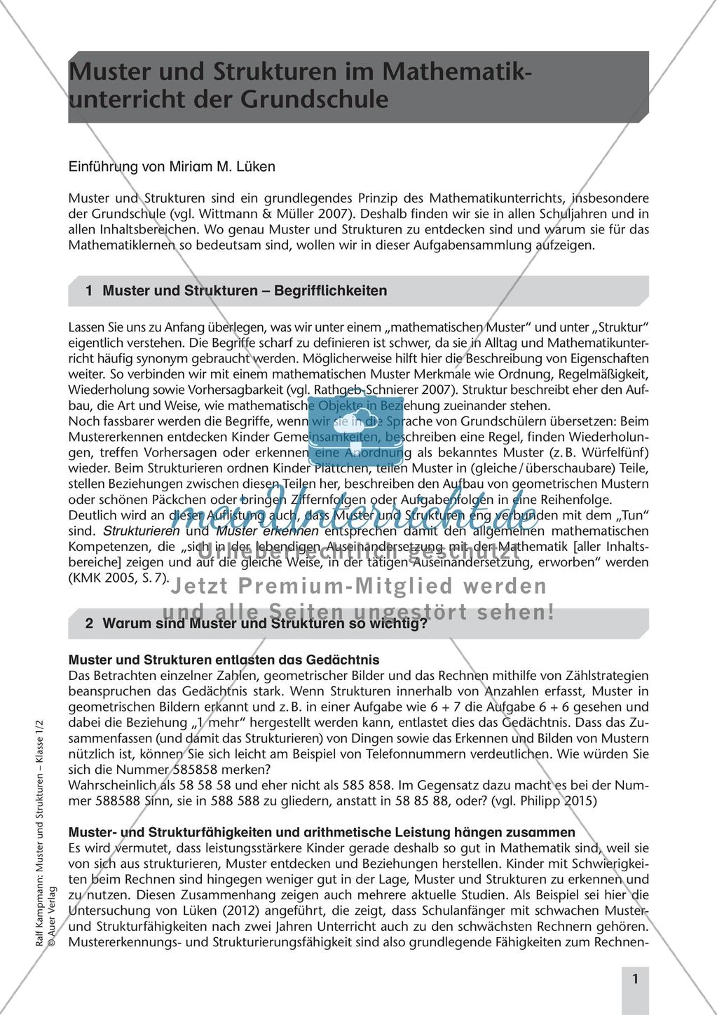 Muster und Strukturen - Musterfolgen Preview 3