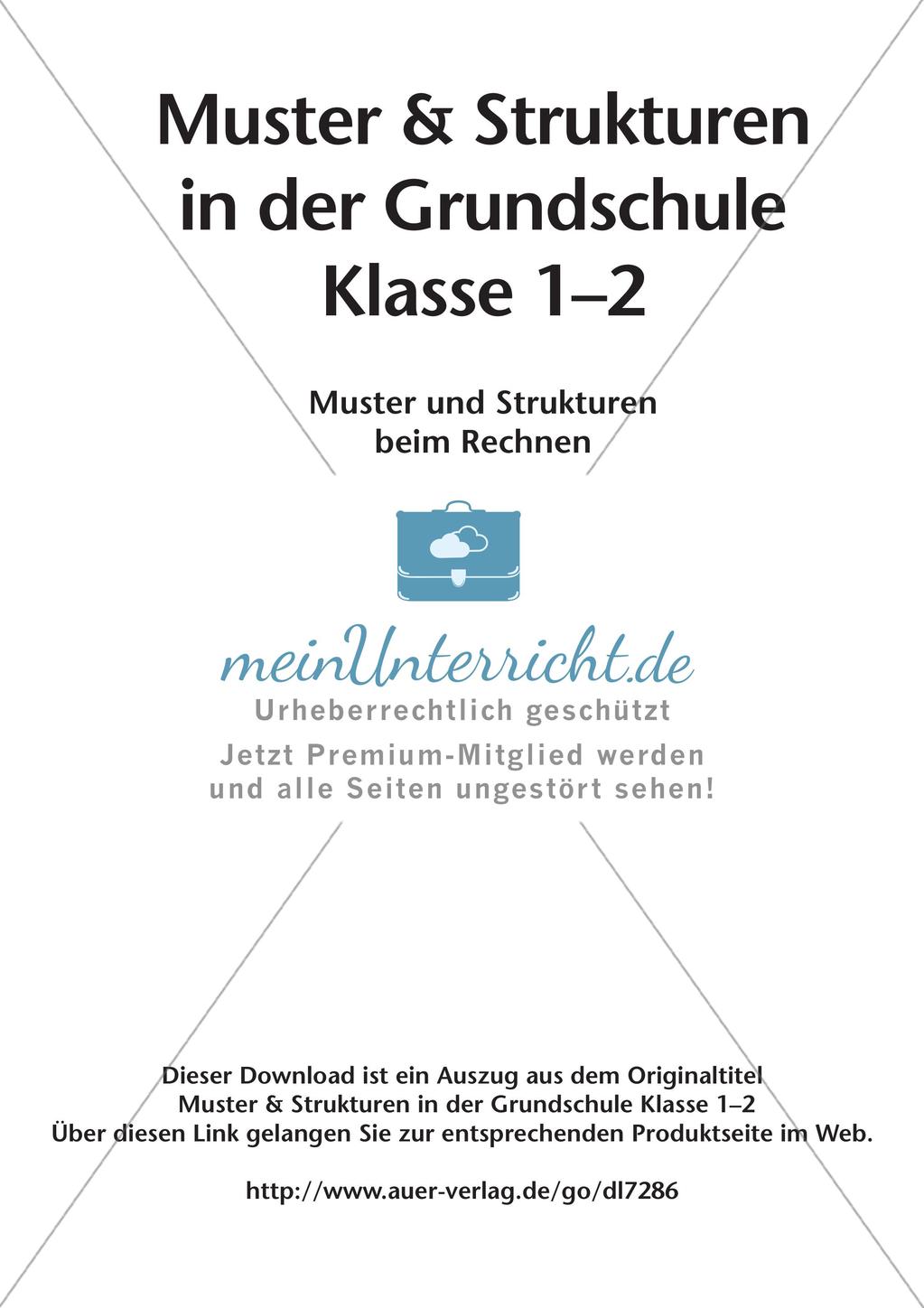 Muster & Strukturen beim Rechnen Preview 2