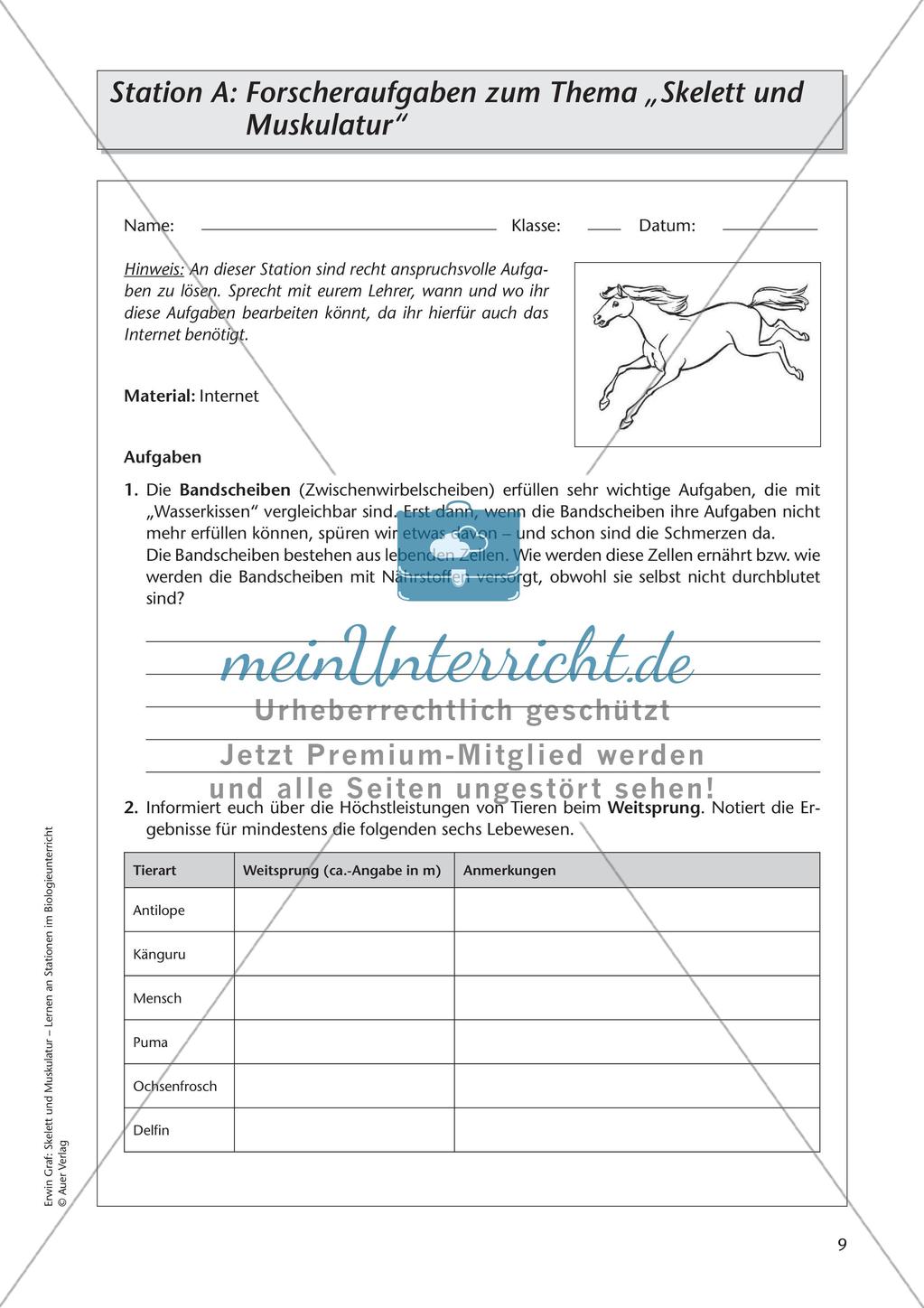 Stationsarbeit zum Thema