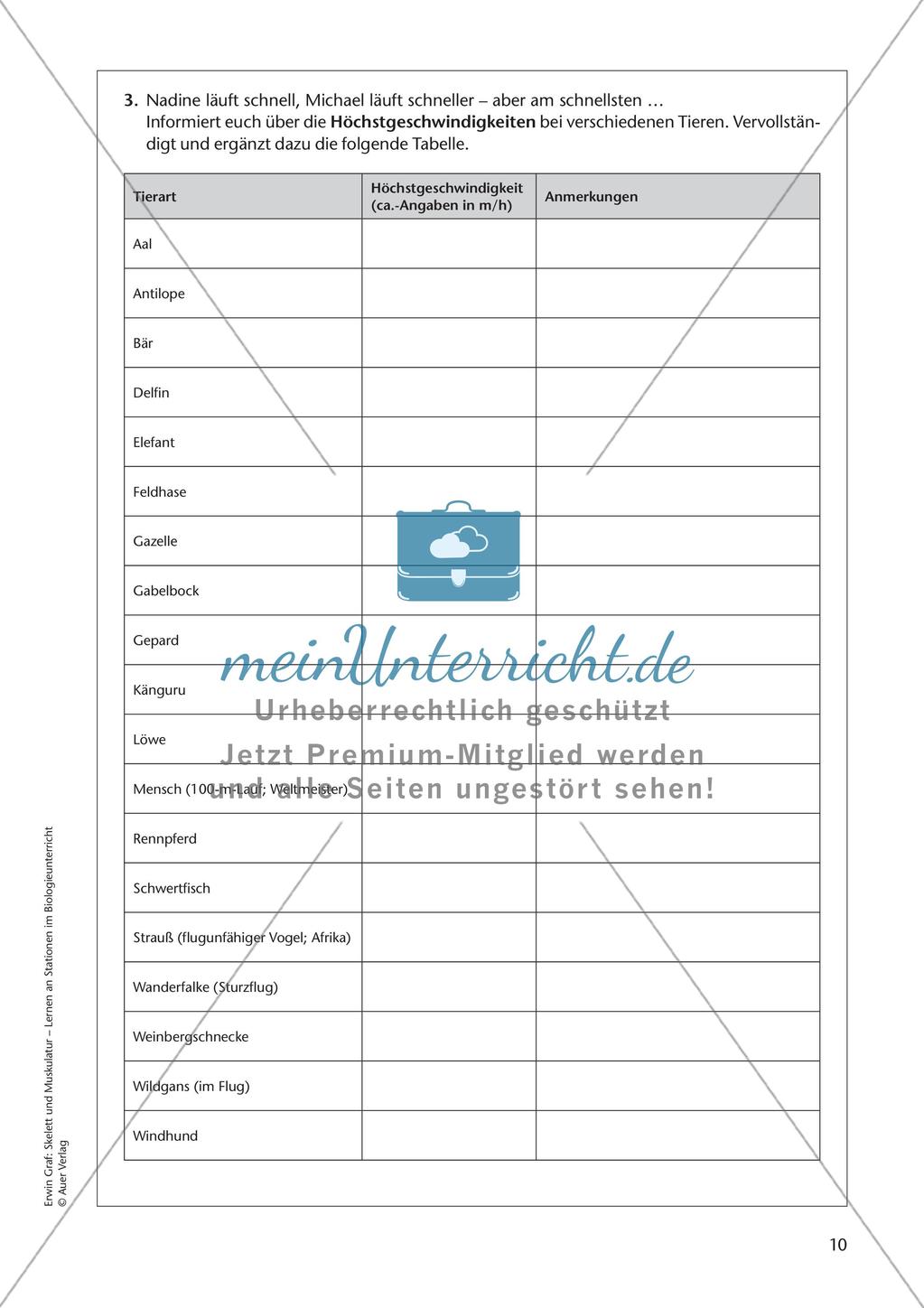Stationsarbeit zum Thema