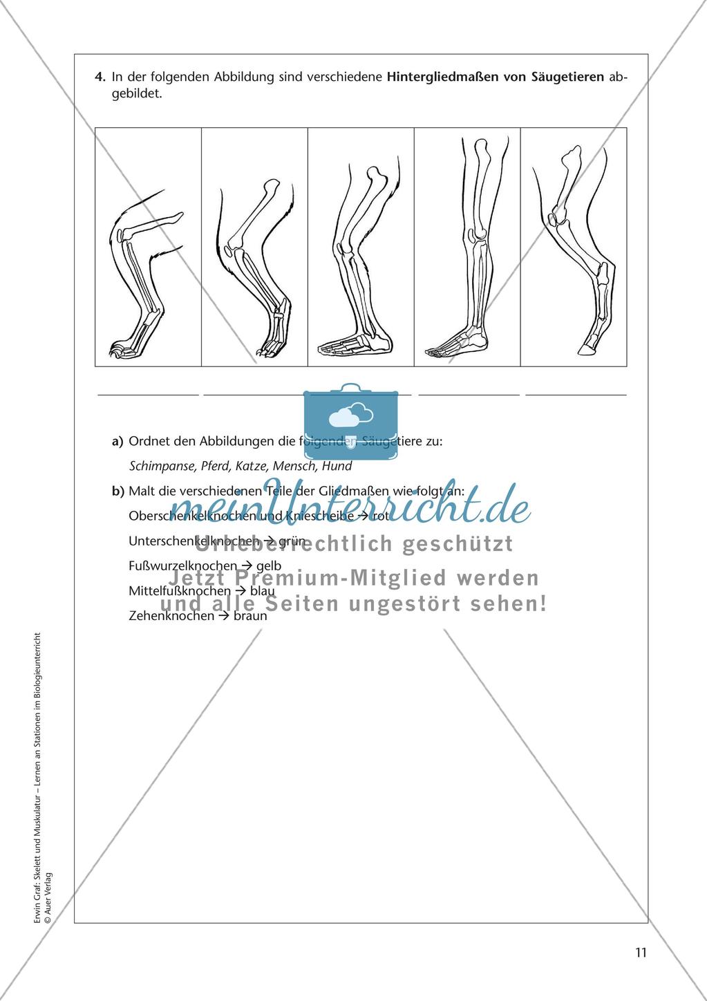 Stationsarbeit zum Thema