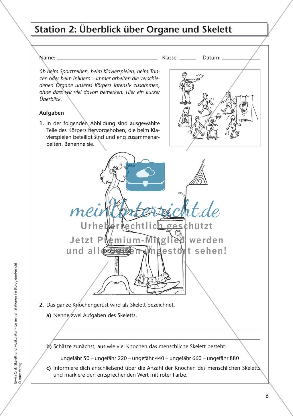 Stationsarbeit zum Thema