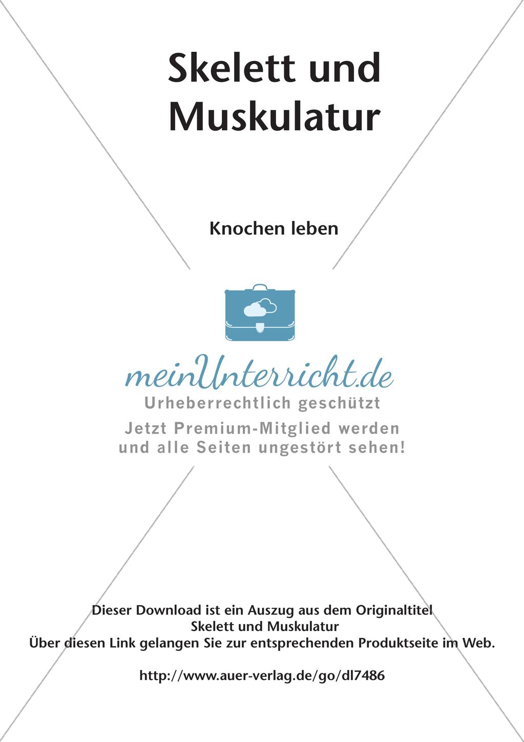Stationsarbeit zum Thema