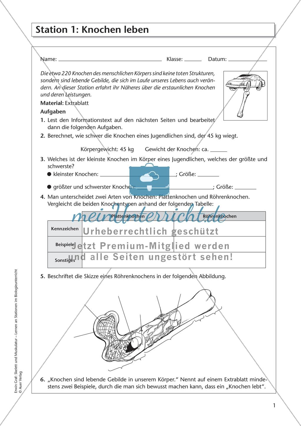 Stationsarbeit zum Thema