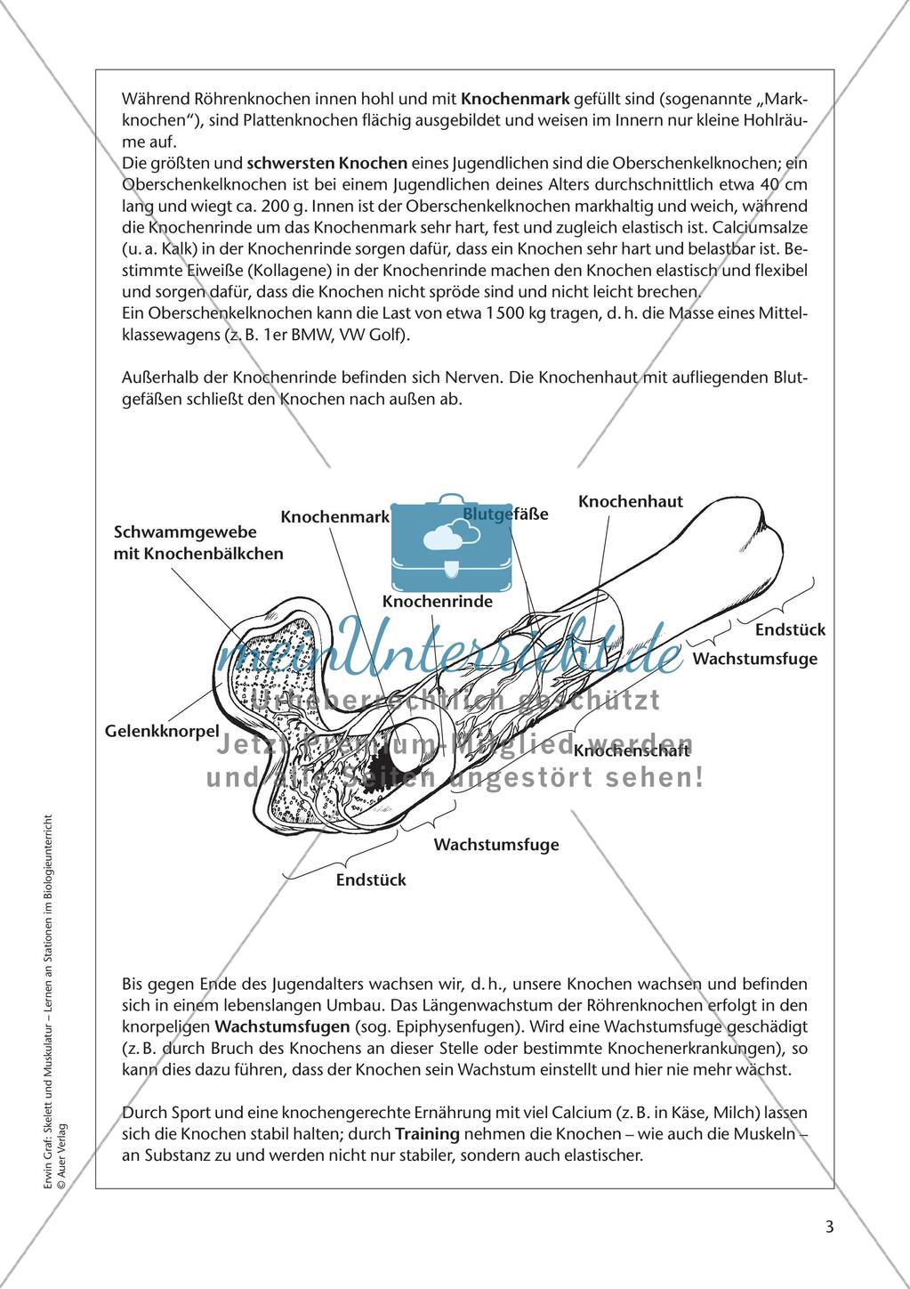 Stationsarbeit zum Thema