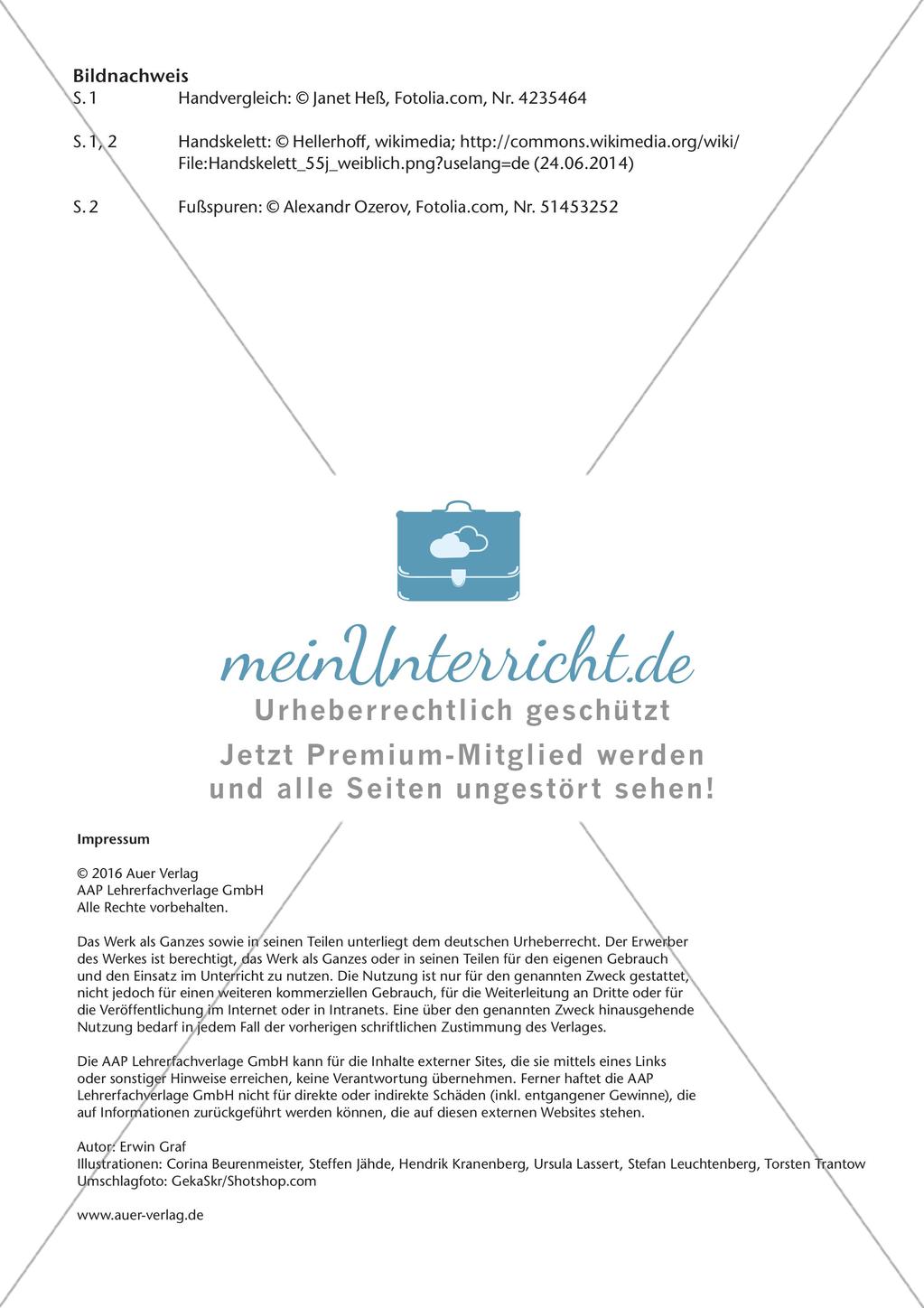Hand- und Fußskelett des Menschen Preview 5