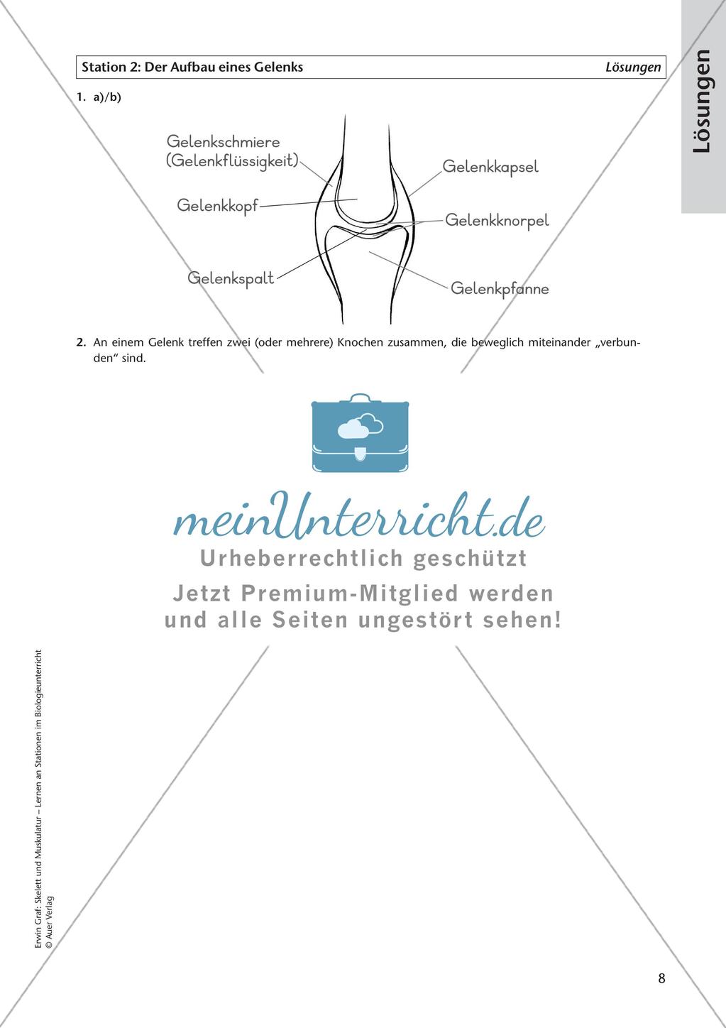 Stationsarbeit zum Thema