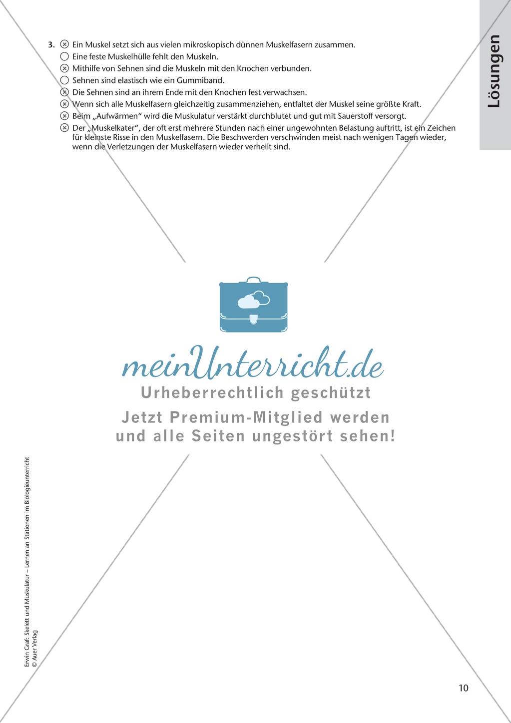 Stationsarbeit zum Thema
