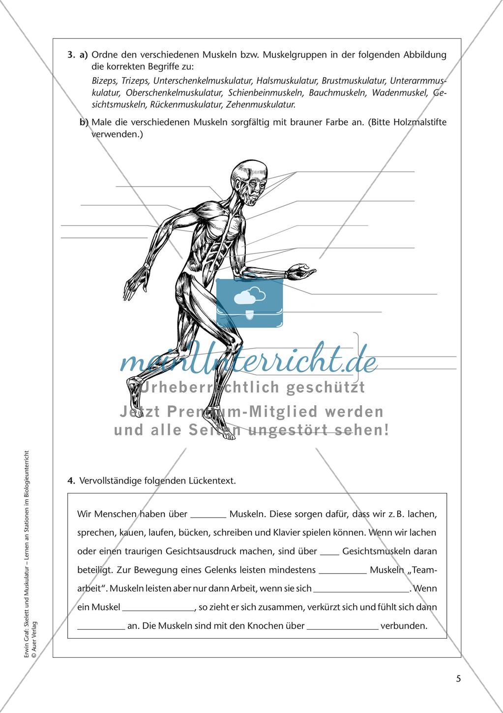 Stationsarbeit zum Thema