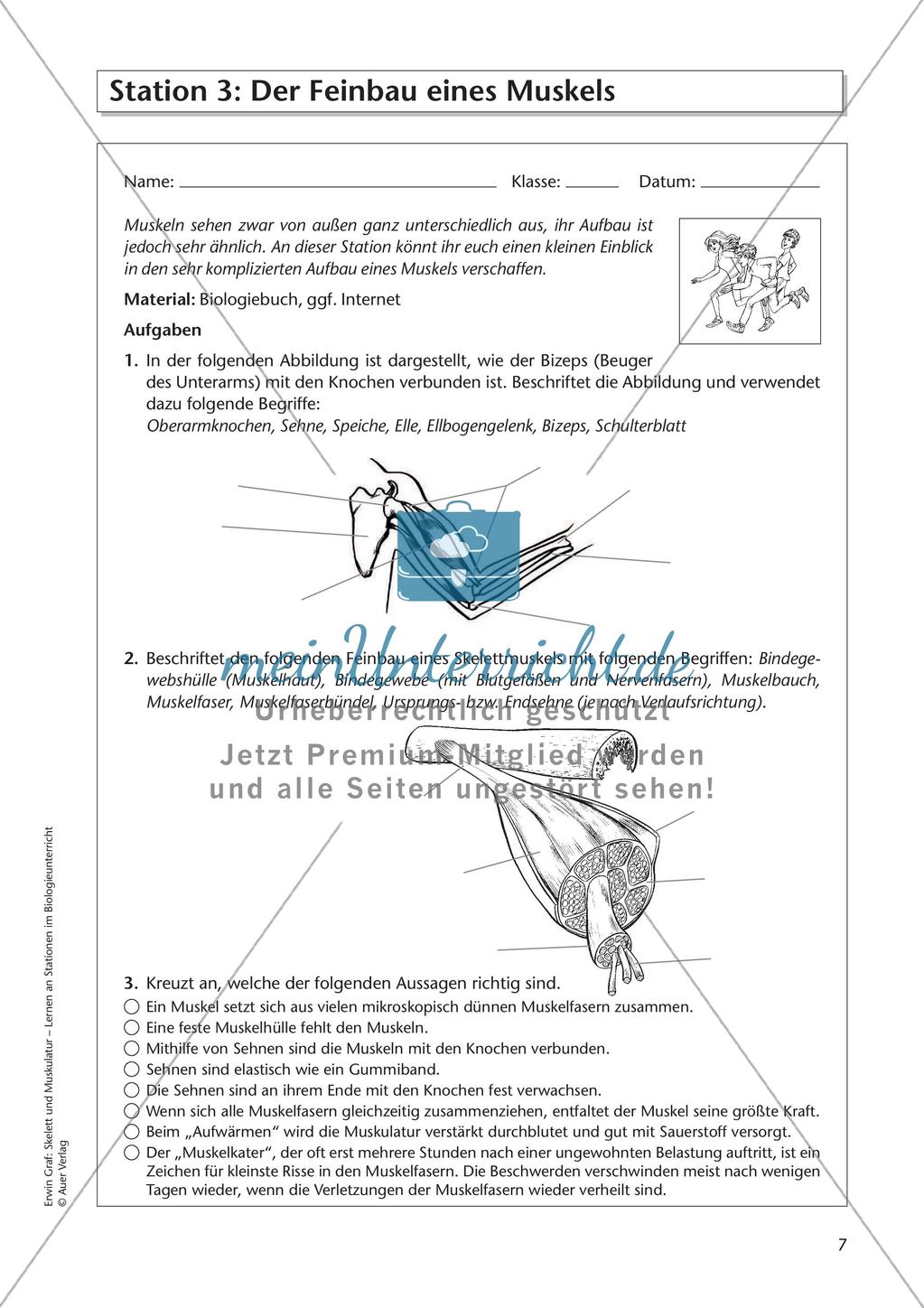 Stationsarbeit zum Thema