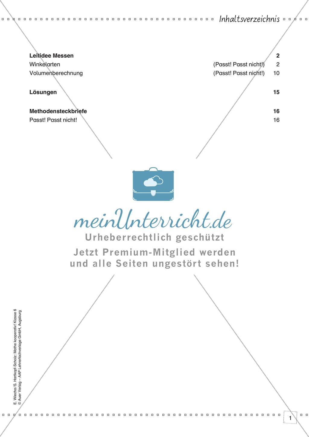 Mathe kooperativ Klasse 6: Leitidee Messen Preview 3