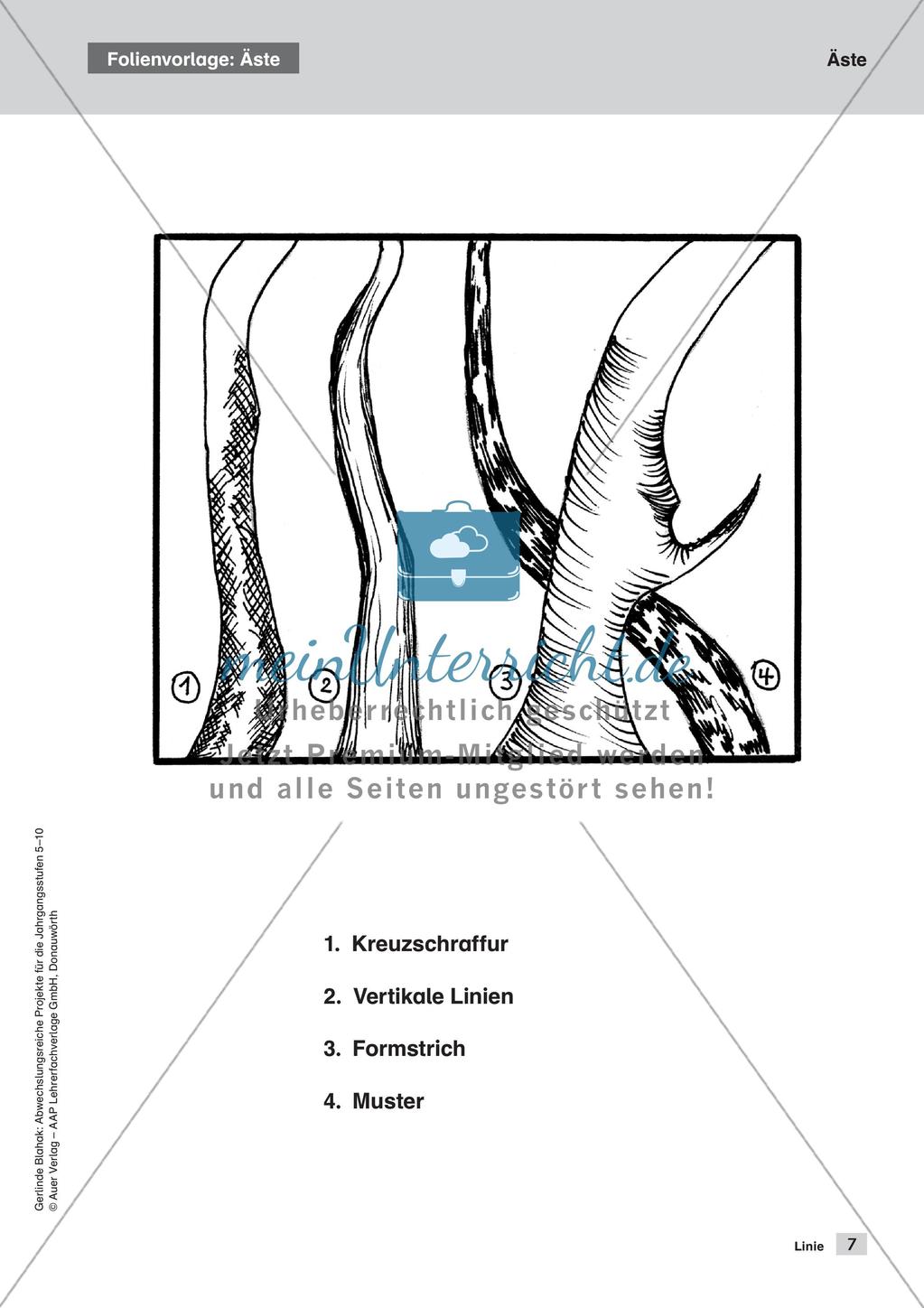 Themengebiet Grafik: Die Linie Preview 9