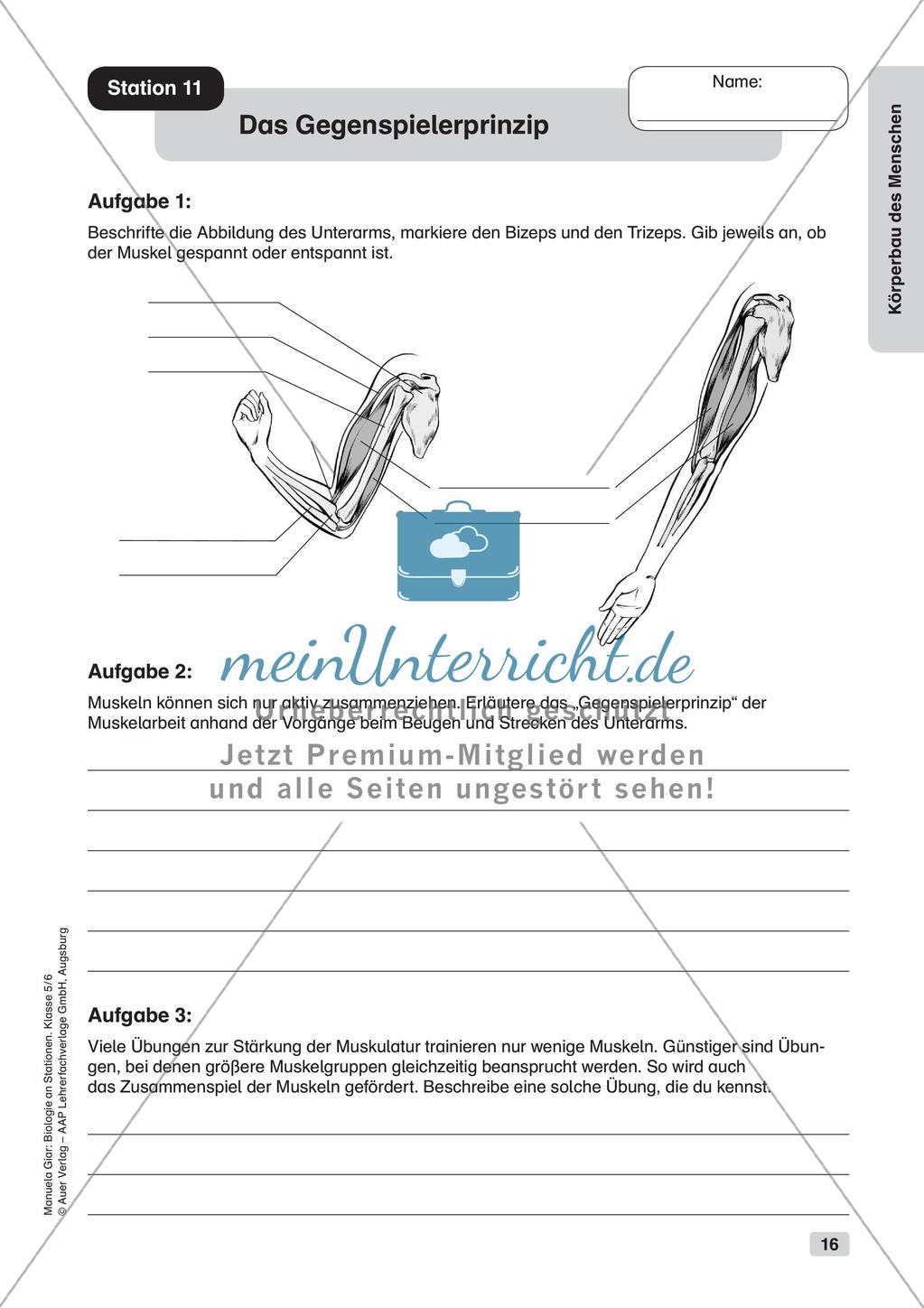 Stationsarbeit zum Thema