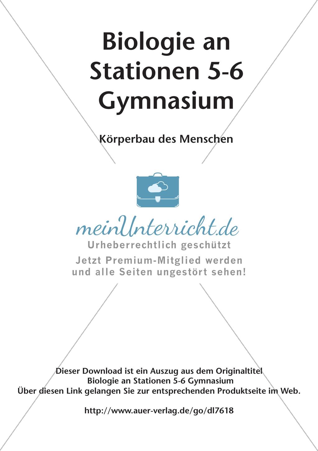 Stationsarbeit zum Thema