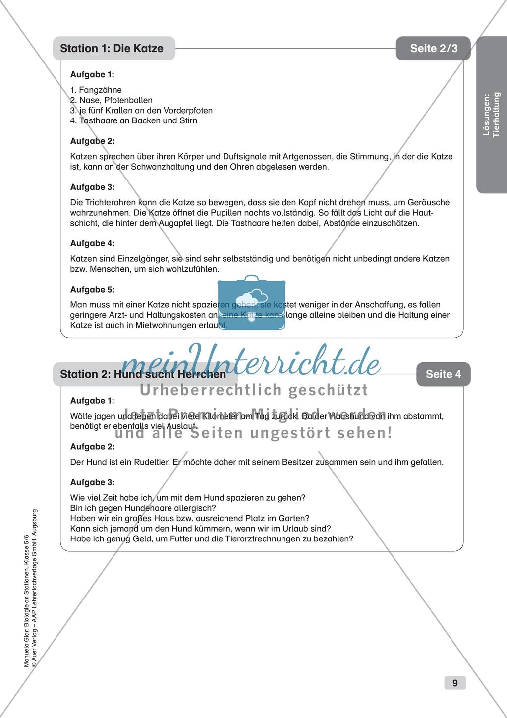 Stationsarbeit zum Thema