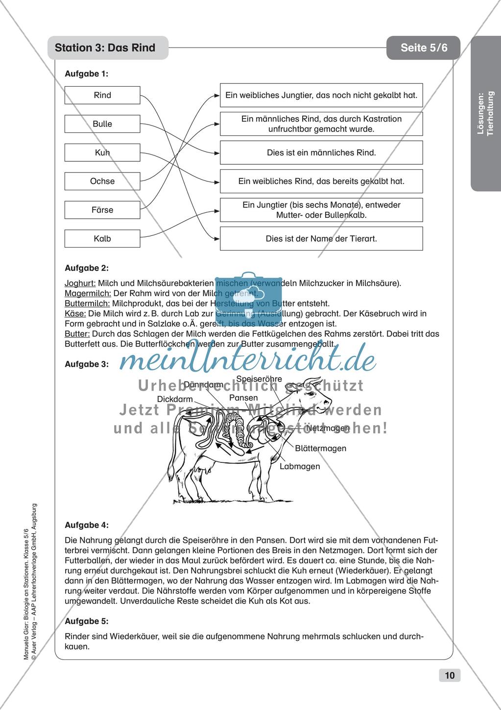Stationsarbeit zum Thema