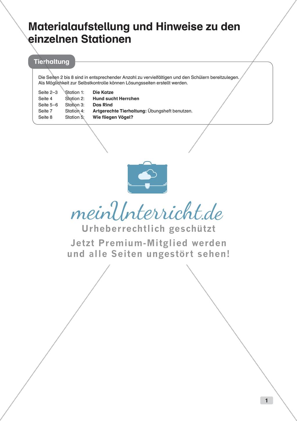 Stationsarbeit zum Thema
