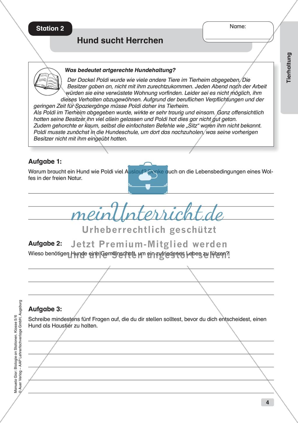 Stationsarbeit zum Thema