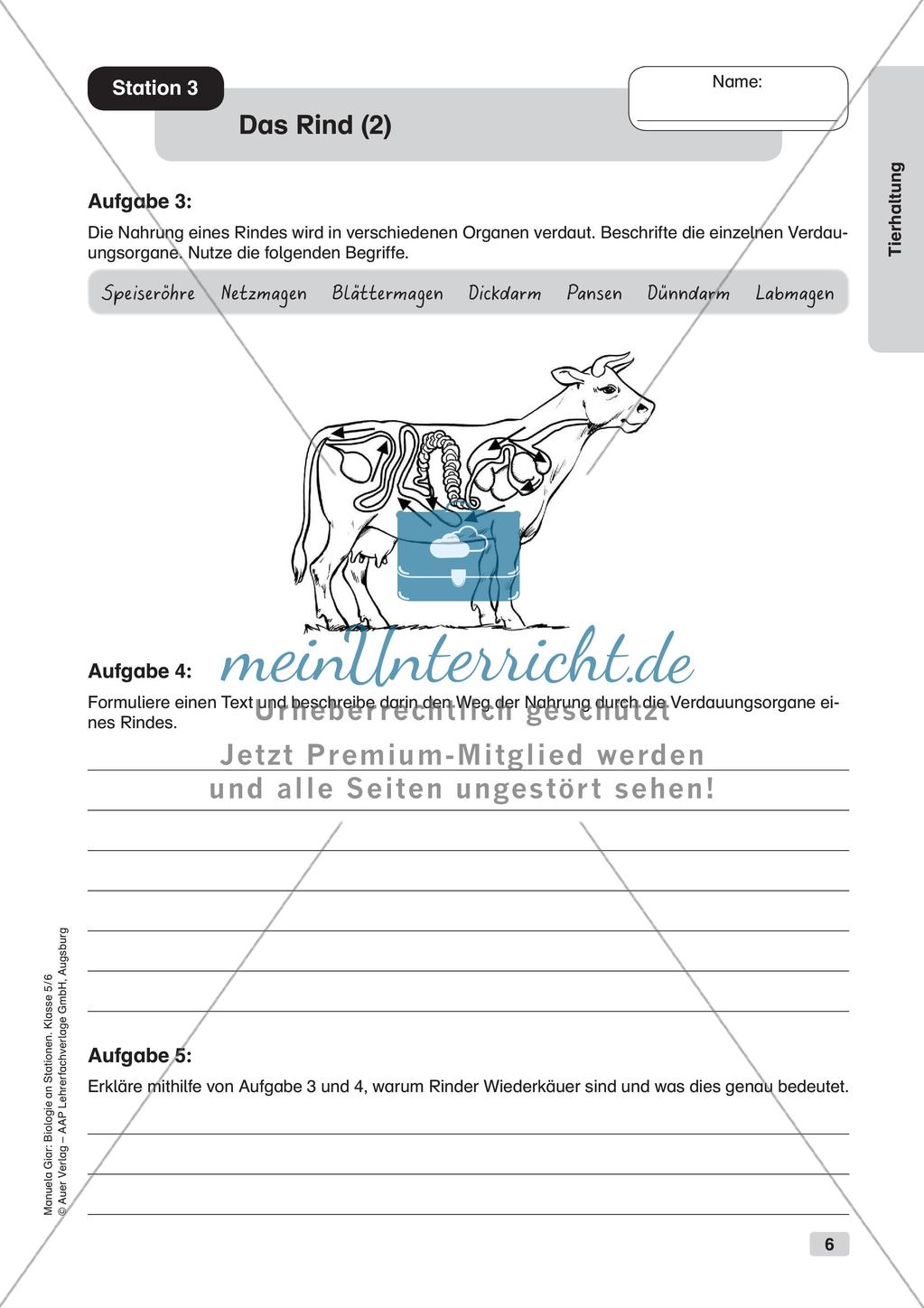 Stationsarbeit zum Thema