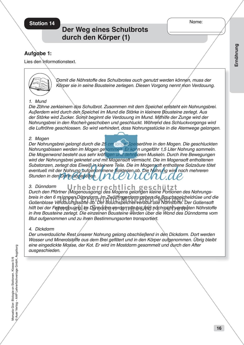 Stationsarbeit zum Thema