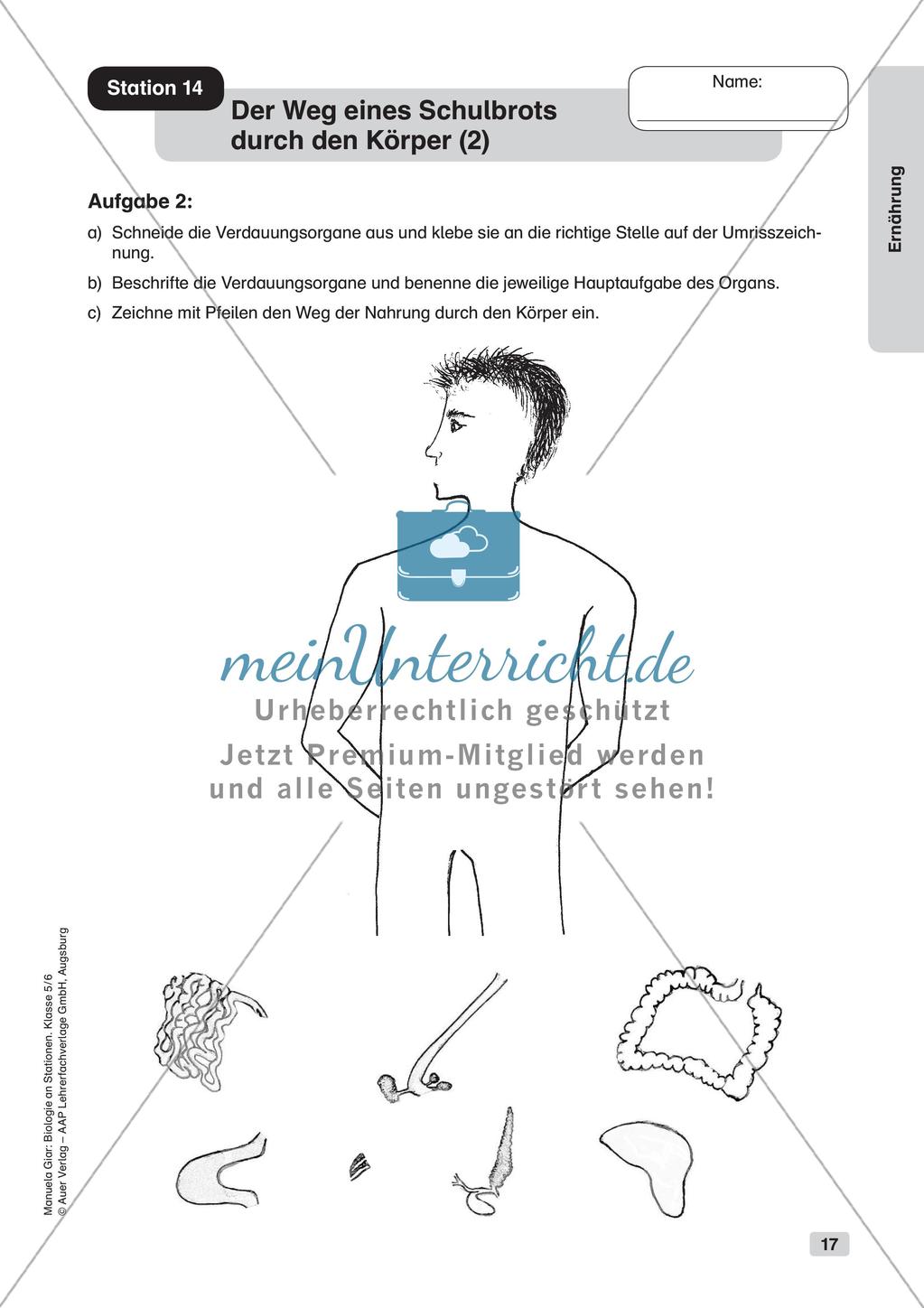 Stationsarbeit zum Thema
