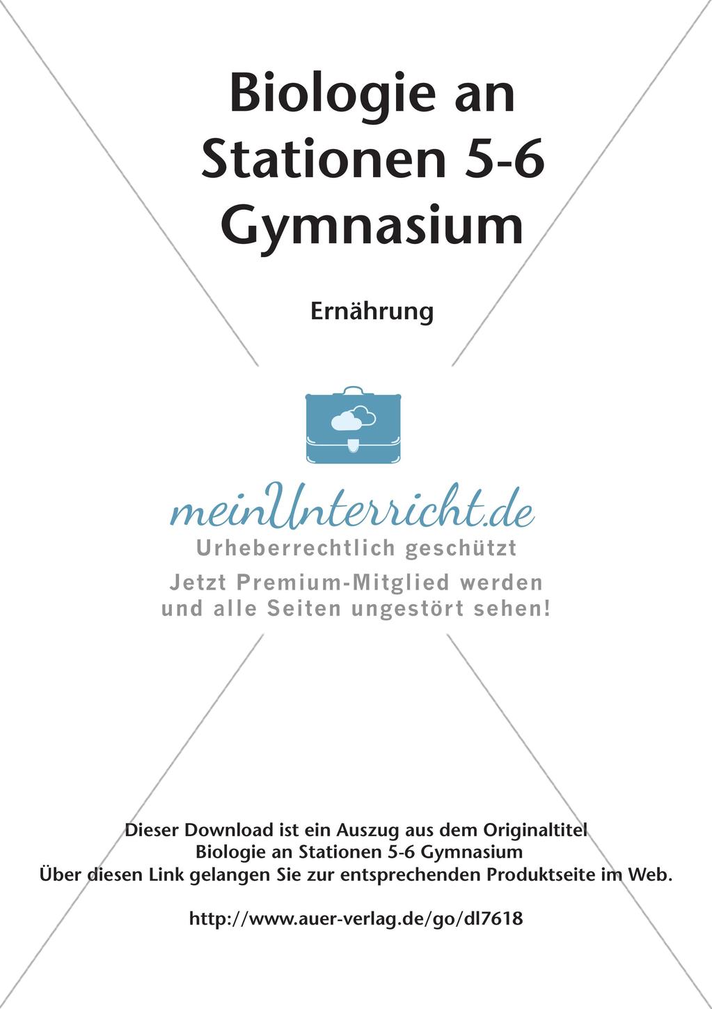 Stationsarbeit zum Thema
