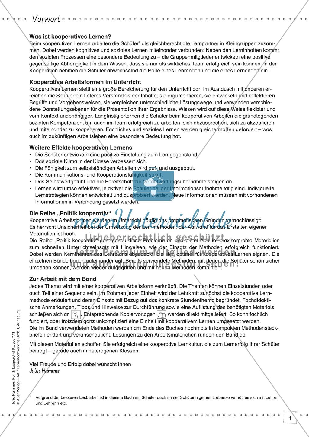 Politik kooperativ - Wahlgrundsätze Preview 3