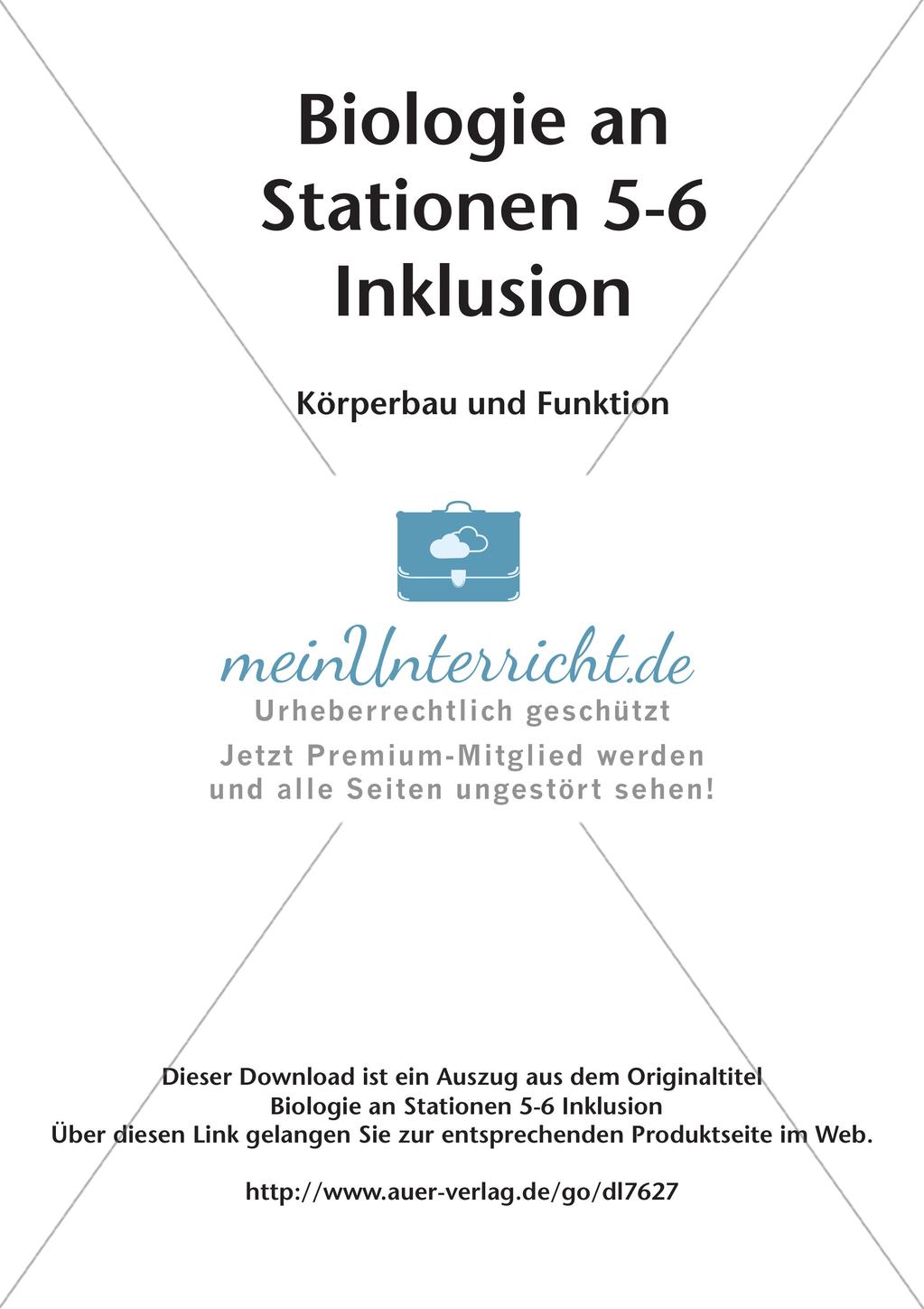 Stationsarbeit zum Thema