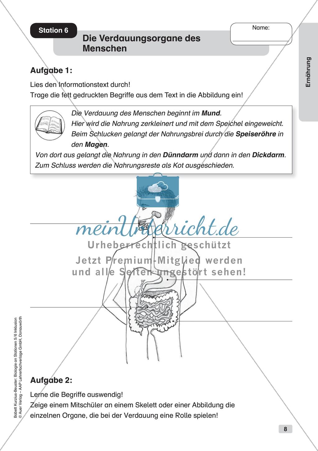 Stationsarbeit zum Thema