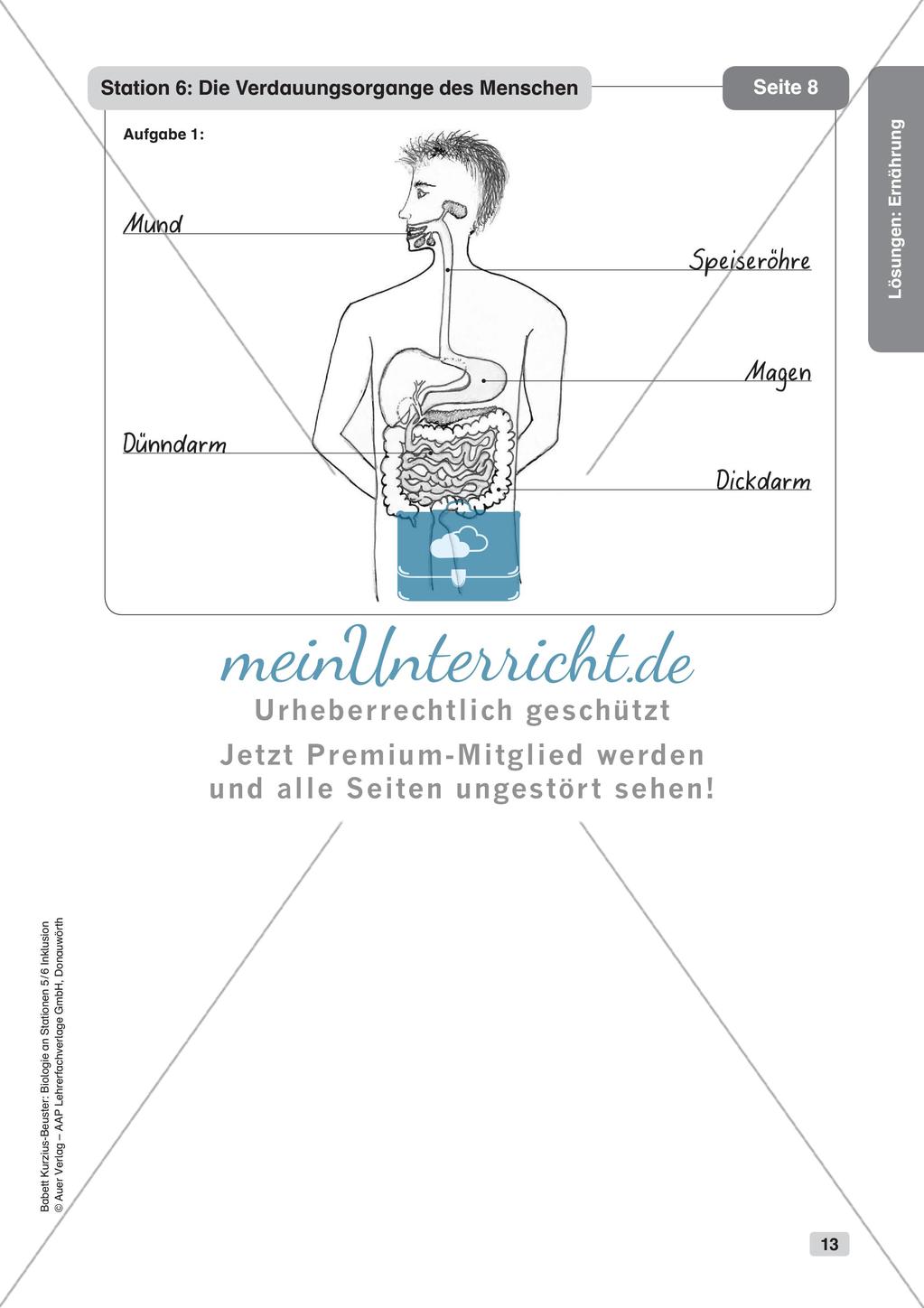 Stationsarbeit zum Thema