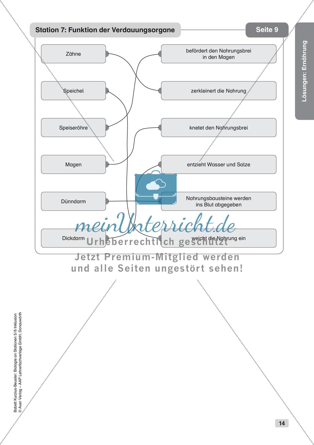 Stationsarbeit zum Thema
