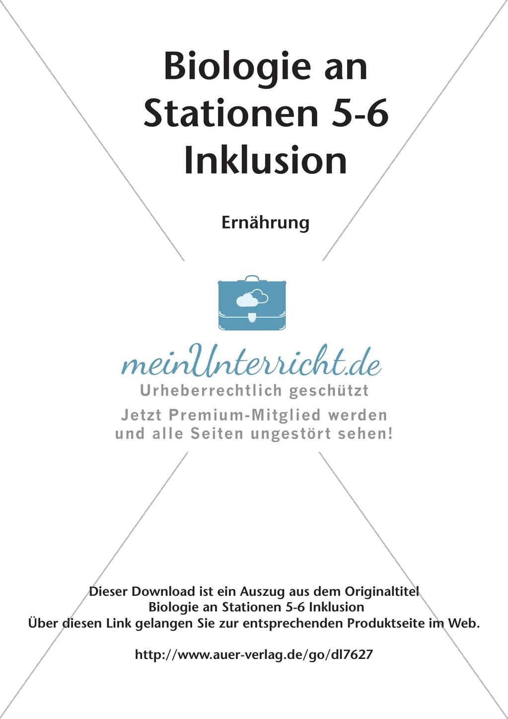 Stationsarbeit zum Thema